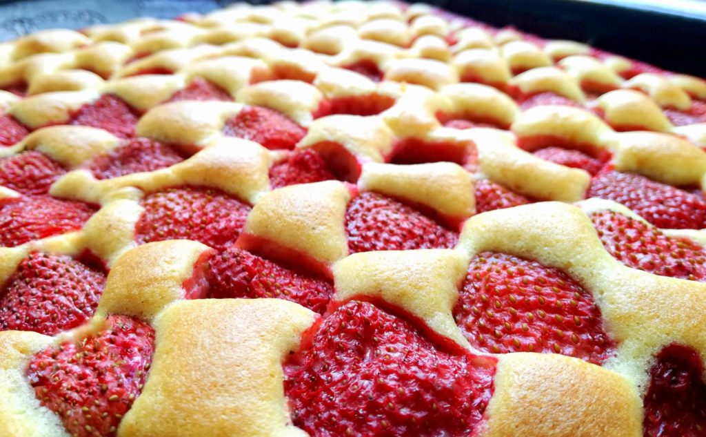 Der beste Erdbeer Biskuitkuchen vom Blech
