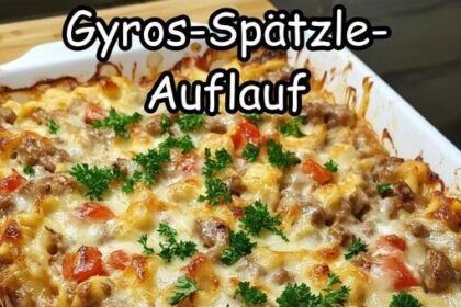 Gyros Auflauf backe ich jede Woche fur meine Familie
