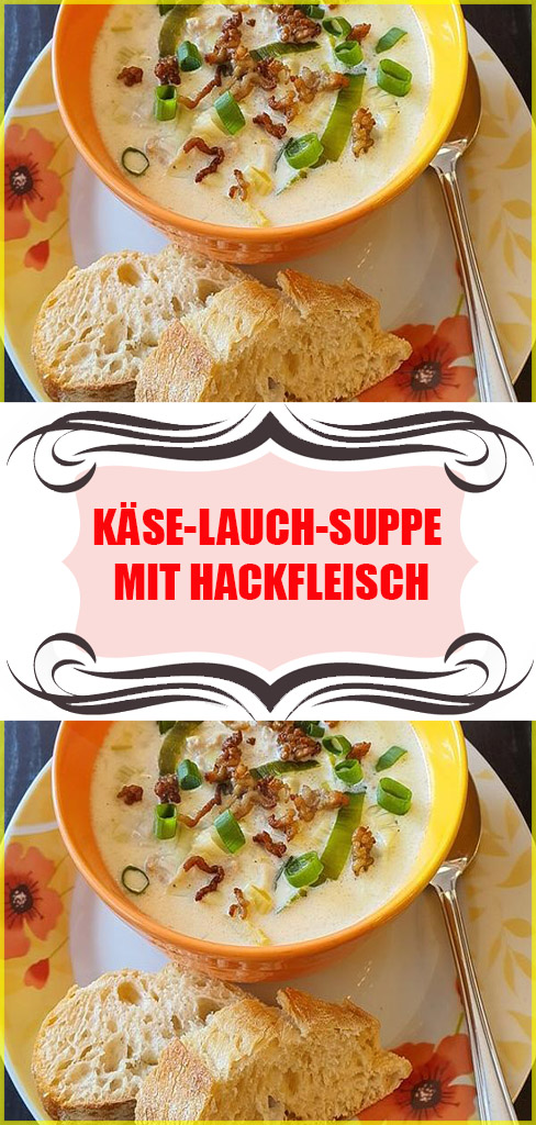 Käse-Lauch-Suppe mit Hackfleisch Rezept