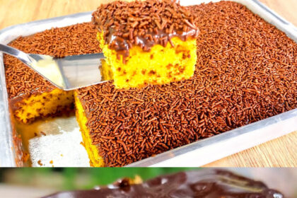 Saftiger Schokokuchen