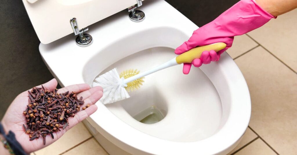 Wie kann man Gewürznelken verwenden, um den Uringeruch in der Toilett Rezept
