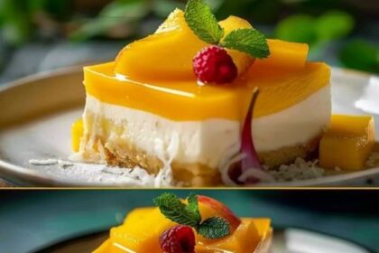 Mango Käsekuchen ohne backen