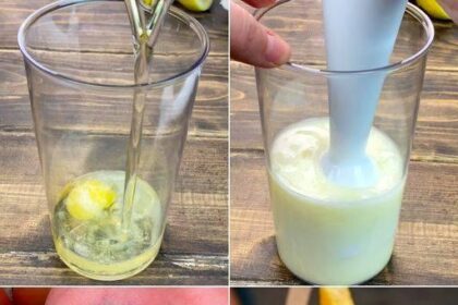 Selbstgemachte Mayonnaise in nur 2 Minuten mit einem Stabmixer