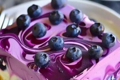 Heidelbeeren Kasekuchen ohne Backen sooowas von lecker