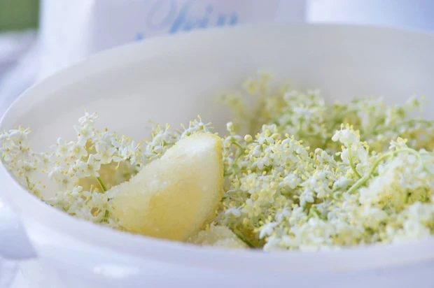 HOLUNDERLIMONADE
