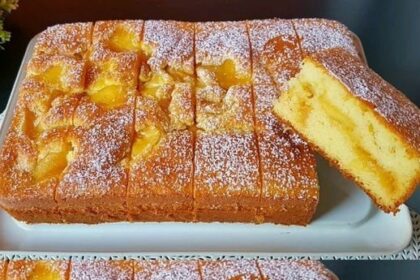Aprikosenkuchen mit 3 Äpfel in 50 Minuten fertig gebacken