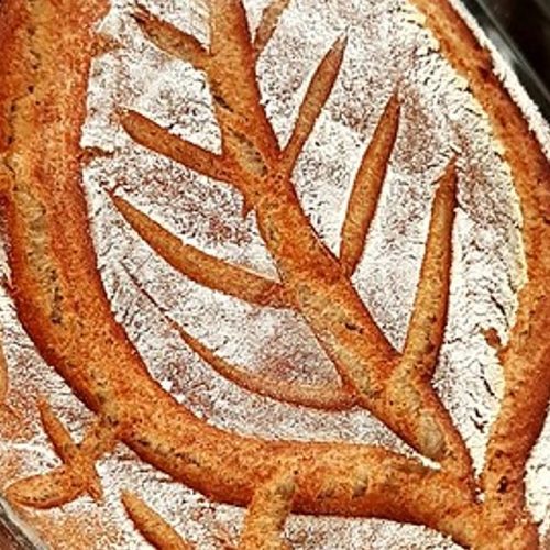 Friss dich dumm Brot Rezept 2 Friss dich dumm Brot