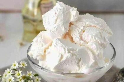 Joghurteis in 2 Minuten das bereite ich sicher jedes Jahr Rezept