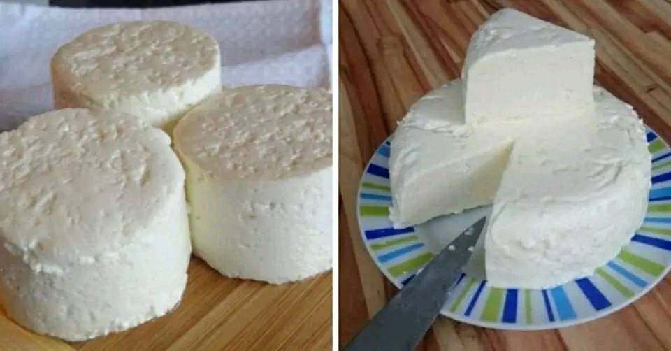 Wenn Sie 1 Liter Milch, Joghurt und eine halbe Zitrone haben, können Sie den besten hausgemachten Käse zubereiten