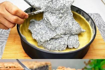 Mohnkuchen mit 250 g Magerquark und 2 Pk Puddingpulver